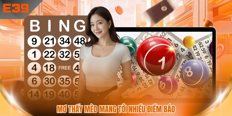 Mơ thấy mèo mang tới nhiều điềm báo